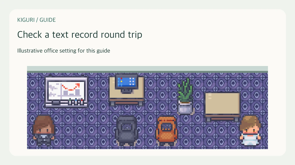 Illustrative setting to check a text record round trip