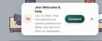 The connection prompt describing microphone and camera preferences