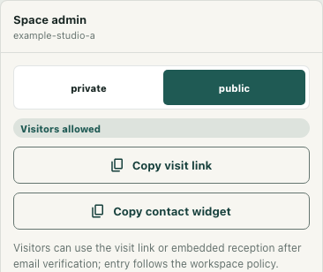 Original Space admin controls with public selected for fictional Example studio.